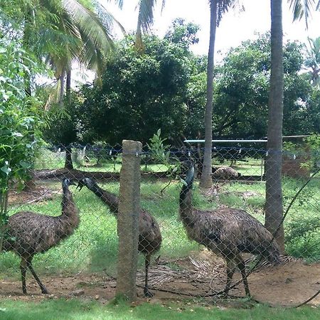 Mango Village Farm House Nelliyampathy Zewnętrze zdjęcie