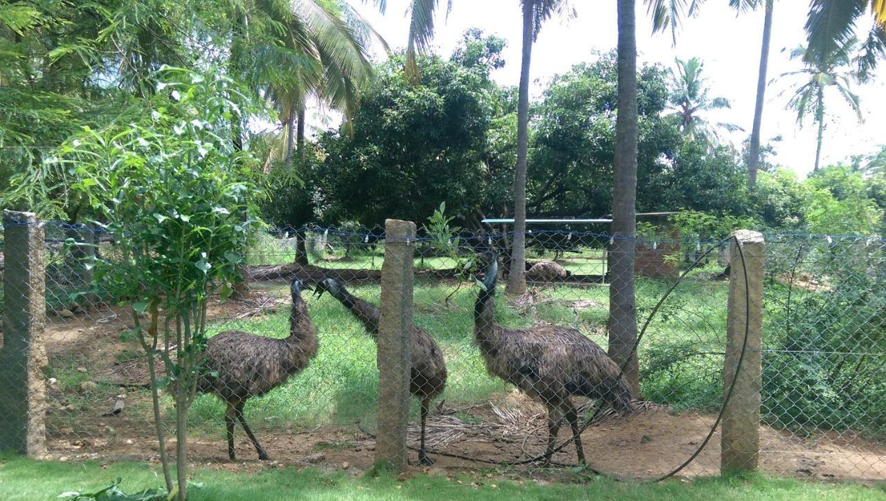 Mango Village Farm House Nelliyampathy Zewnętrze zdjęcie